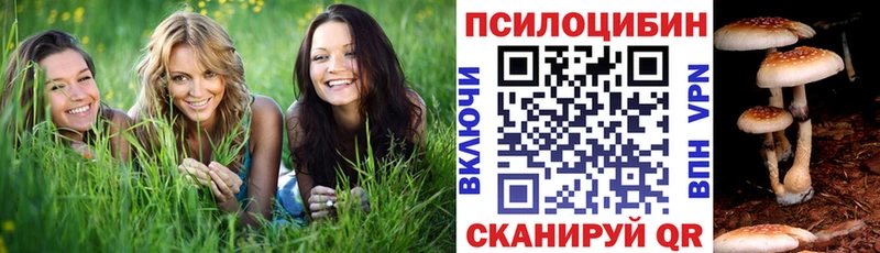 купить цена Ивантеевка Галлюциногенные грибы мухоморы